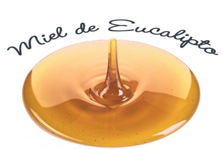 Miel de eucalipto